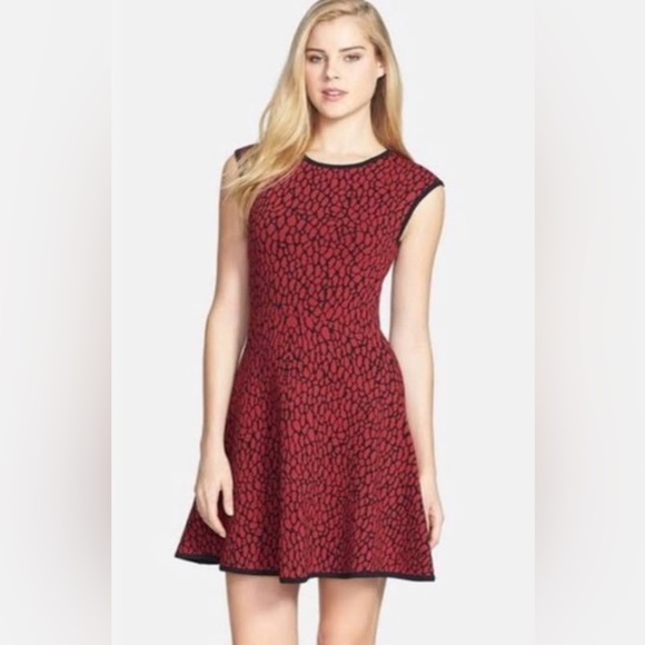 Felicity & Coco Dresses & Skirts - Felicity and coco Fit and Flare size Xs